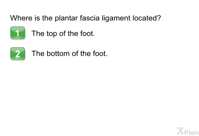 Where is the plantar fascia ligament located?  The top of the foot. The bottom of the foot.