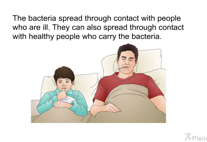 The bacteria spread through contact with people who are ill. They can also spread through contact with healthy people who carry the bacteria.