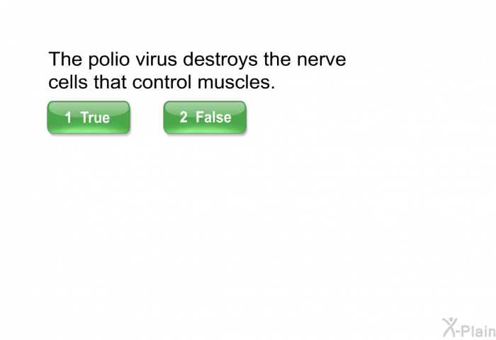The polio virus destroys the nerve cells that control muscles.