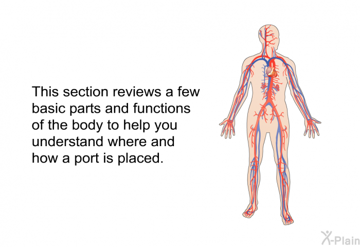 This section reviews a few basic parts and functions of the body to help you understand where and how a port is placed.