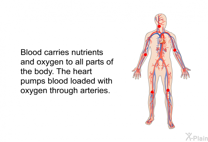 Blood carries nutrients and oxygen to all parts of the body. The heart pumps blood loaded with oxygen through arteries.