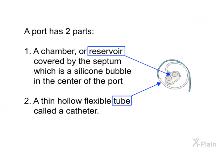 A port has 2 parts: A chamber, or reservoir covered by the septum which is a silicone bubble in the center of the port A thin hollow flexible tube called a catheter.