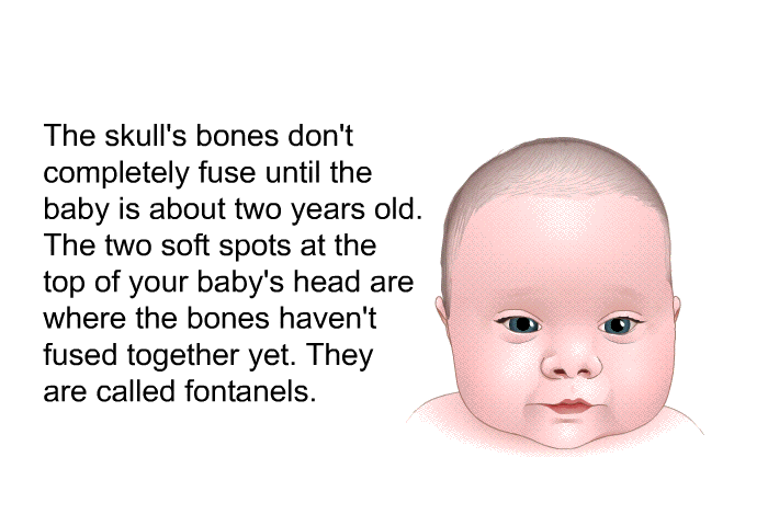 The skull's bones don't completely fuse until the baby is about two years old. The two soft spots at the top of your baby's head are where the bones haven't fused together yet. They are called fontanels.