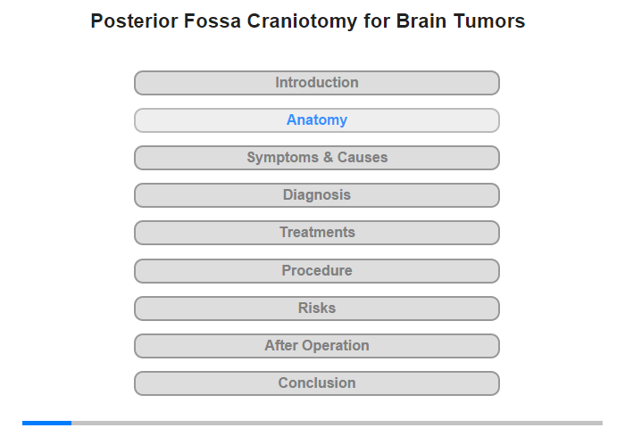 Anatomy