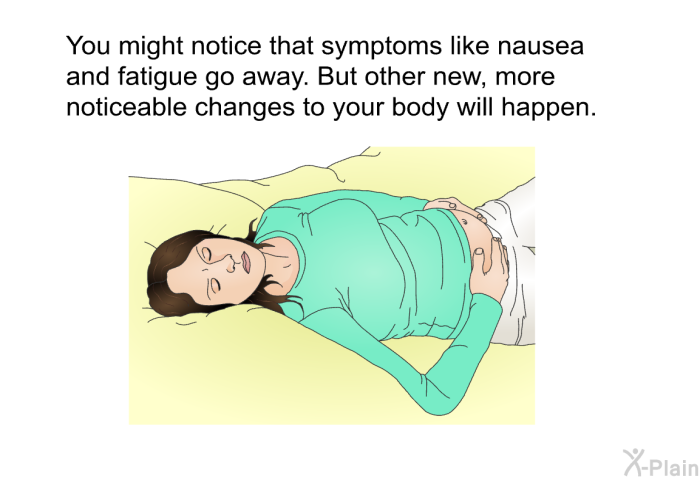 You might notice that symptoms like nausea and fatigue go away. But other new, more noticeable changes to your body will happen.