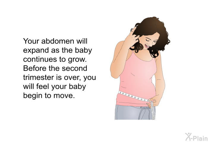 Your abdomen will expand as the baby continues to grow. Before the second trimester is over, you will feel your baby begin to move.