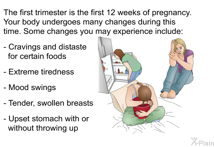 The first trimester is the first 12 weeks of pregnancy. Your body undergoes many changes during this time. Some changes you may experience include:  Cravings and distaste for certain foods Extreme tiredness Mood swings Tender, swollen breasts Upset stomach with or without throwing up