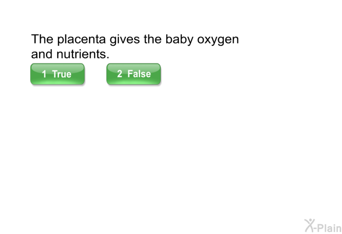 The placenta gives the baby oxygen and nutrients.