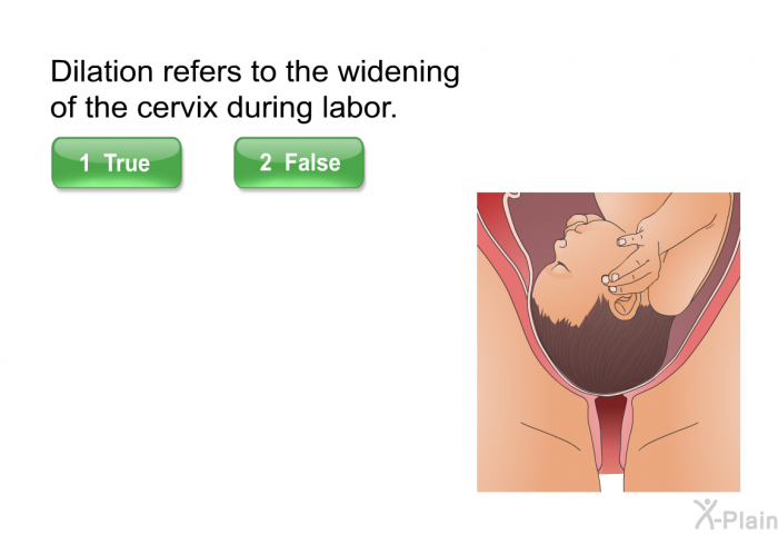 Dilation refers to the widening of the cervix during labor.