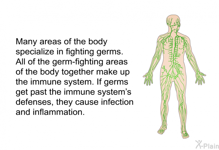 Many areas of the body specialize in fighting germs. All of the germ-fighting areas of the body together make up the immune system. If germs get past the immune system's defenses, they cause infection and inflammation.