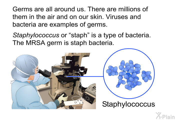 Germs are all around us. There are millions of them in the air and on our skin. Viruses and bacteria are examples of germs. <I>Staphylococcus</I> or “staph” is a type of bacteria. The MRSA germ is staph bacteria.