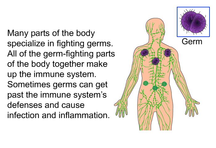 Many parts of the body specialize in fighting germs. All of the germ-fighting parts of the body together make up the immune system. Sometimes germs can get past the immune system's defenses and cause infection and inflammation.