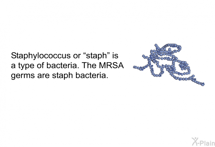 Staphylococcus or “staph” is a type of bacteria. The MRSA germs are staph bacteria.