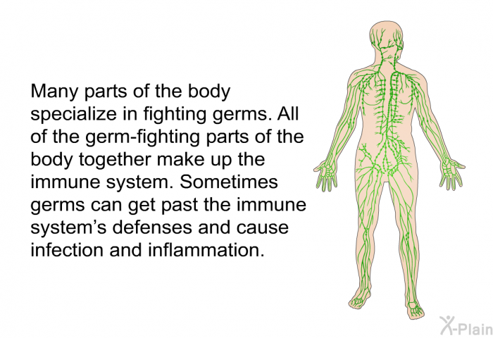 Many parts of the body specialize in fighting germs. All of the germ-fighting parts of the body together make up the immune system. Sometimes germs can get past the immune system's defenses and cause infection and inflammation.