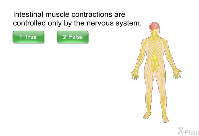 Intestinal muscle contractions are controlled only by the nervous system. Press True or False.