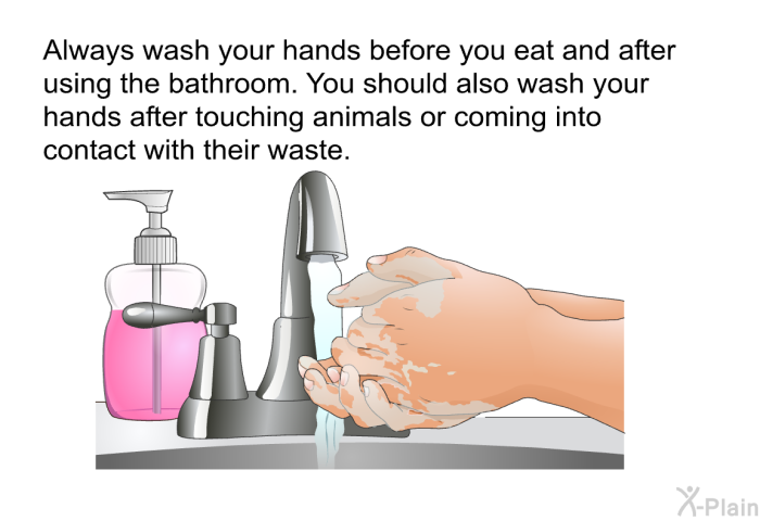 Always wash your hands before you eat and after using the bathroom. You should also wash your hands after touching animals or coming into contact with their waste.