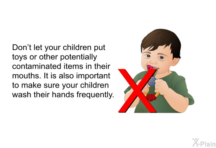 Don't let your children put toys or other potentially contaminated items in their mouths. It is also important to make sure your children wash their hands frequently.