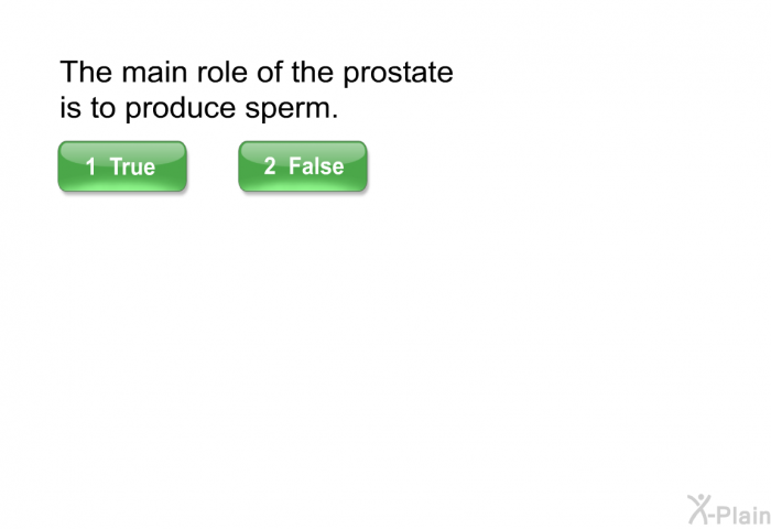 The main role of the prostate is to produce sperm.