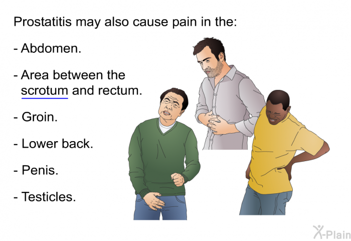 Prostatitis may also cause pain in the:  Abdomen. Area between the scrotum and rectum. Groin. Lower back. Penis. Testicles.