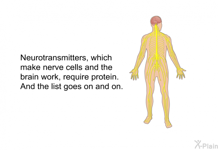 Neurotransmitters, which make nerve cells and the brain work, require protein. And the list goes on and on.