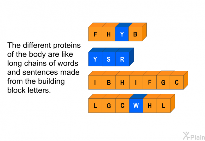 The different proteins of the body are like long chains of words and sentences made from the building block letters.