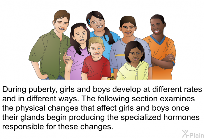 During puberty, girls and boys develop at different rates and in different ways. The following section examines the physical changes that affect girls and boys once their glands begin producing the specialized hormones responsible for these changes.