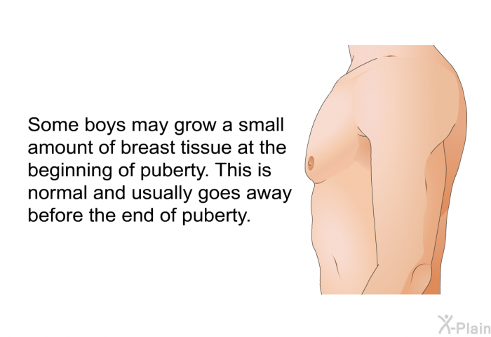 Some boys may grow a small amount of breast tissue at the beginning of puberty. This is normal and usually goes away before the end of puberty.