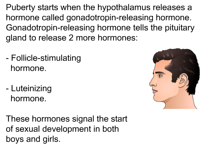 Puberty starts when the hypothalamus releases a hormone called gonadotropin-releasing hormone. Gonadotropin-releasing hormone tells the pituitary gland to release 2 more hormones:  Follicle-stimulating hormone. Luteinizing hormone.  
 These hormones signal the start of sexual development in both boys and girls.