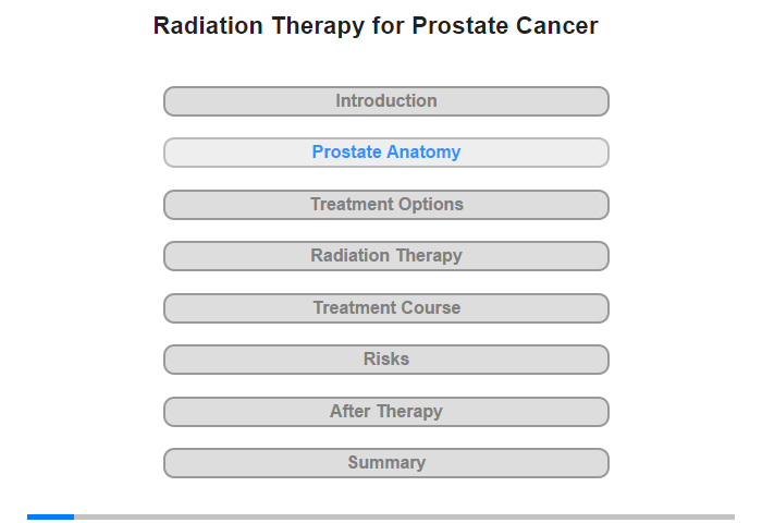 Prostate Anatomy