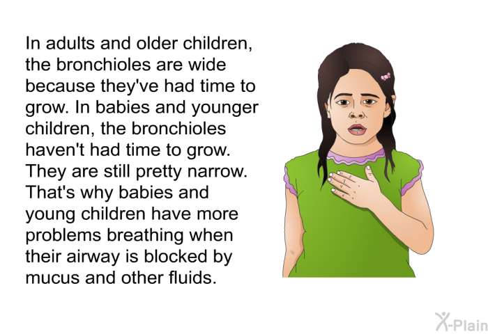 In adults and older children, the bronchioles are wide because they've had time to grow. In babies and younger children, the bronchioles haven't had time to grow. They are still pretty narrow. That's why babies and young children have more problems breathing when their airway is blocked by mucus and other fluids.