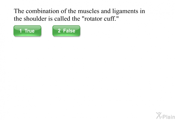 The combination of the muscles and ligaments in the shoulder is called the “rotator cuff.”