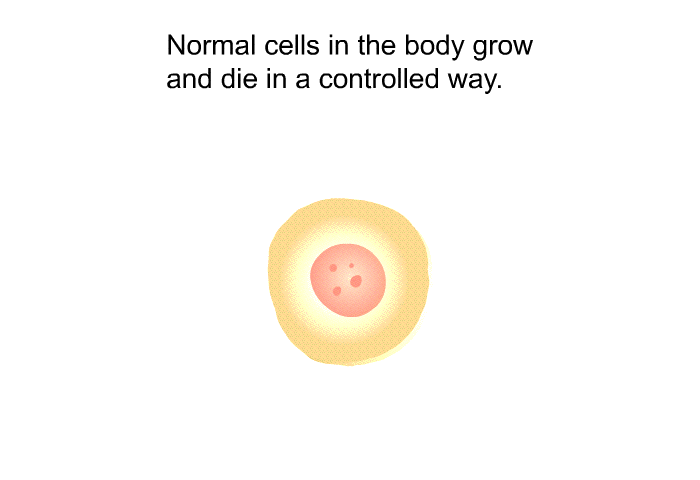 Normal cells in the body grow and die in a controlled way.