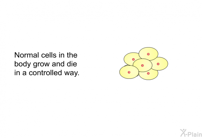 Normal cells in the body grow and die in a controlled way.