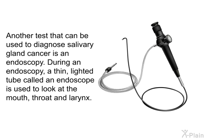 Another test that can be used to diagnose salivary gland cancer is an endoscopy. During an endoscopy, a thin, lighted tube called an endoscope is used to look at the mouth, throat and larynx.