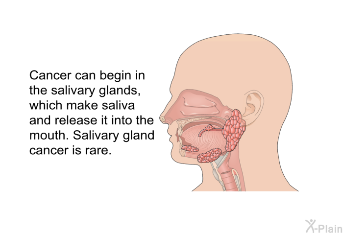 Cancer can begin in the salivary glands, which make saliva and release it into the mouth. Salivary gland cancer is rare.