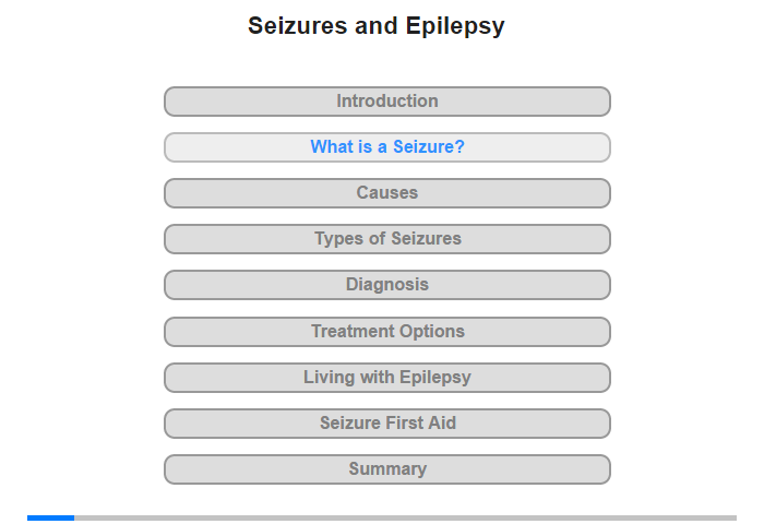 What is a Seizure?