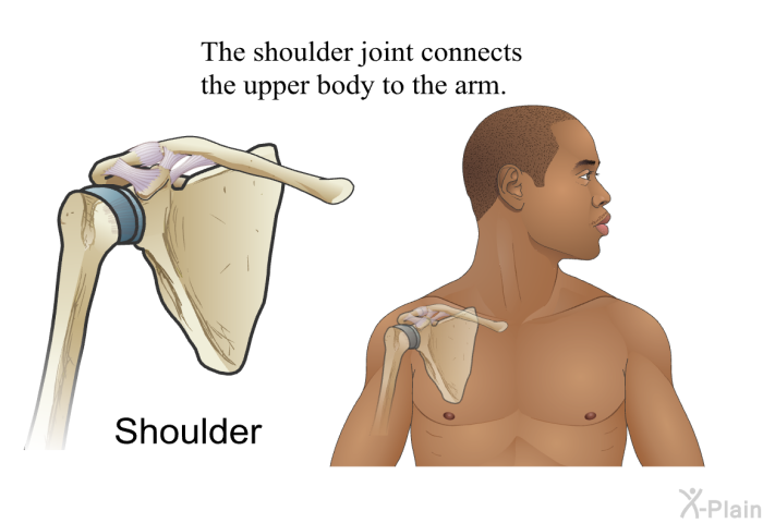 The shoulder joint connects the upper body to the arm.