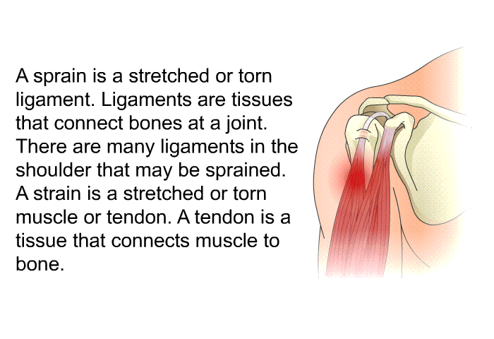 A sprain is a stretched or torn ligament. Ligaments are tissues that connect bones at a joint. There are many ligaments in the shoulder that may be sprained. A strain is a stretched or torn muscle or tendon. A tendon is a tissue that connects muscle to bone.