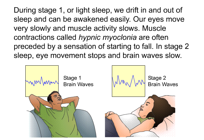 During stage 1, or light sleep, we drift in and out of sleep and can be awakened easily. Our eyes move very slowly and muscle activity slows. Muscle contractions called <I>hypnic myoclonia</I> are often preceded by a sensation of starting to fall. In stage 2 sleep, eye movement stops and brain waves slow<I>.</I>