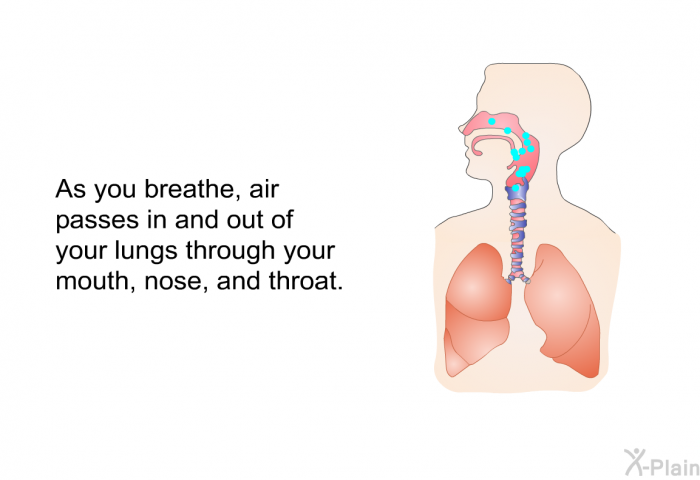 As you breathe, air passes in and out of your lungs through your mouth, nose, and throat.