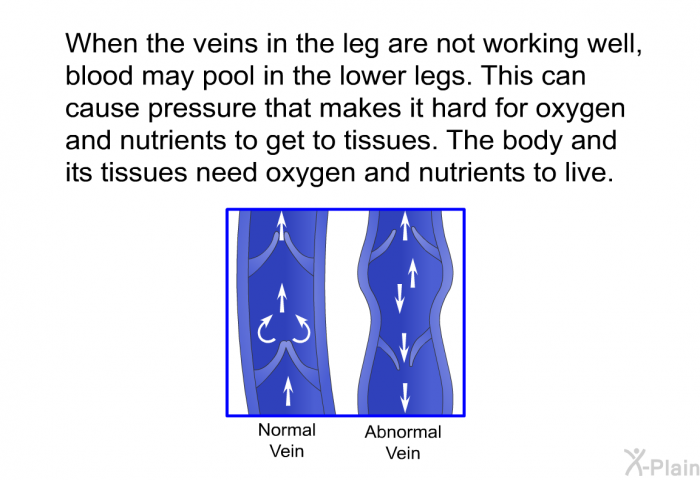When the veins in the leg are not working well, blood may pool in the lower legs. This can cause pressure that makes it hard for oxygen and nutrients to get to tissues. The body and its tissues need oxygen and nutrients to live.