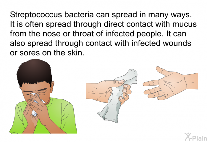 Streptococcus bacteria can spread in many ways. It is often spread through direct contact with mucus from the nose or throat of infected people. It can also spread through contact with infected wounds or sores on the skin.
