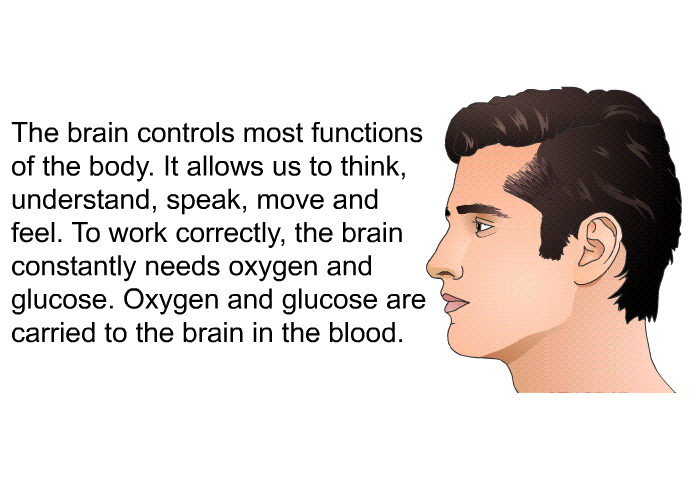 The brain controls most functions of the body. It allows us to think, understand, speak, move and feel. To work correctly, the brain constantly needs oxygen and glucose. Oxygen and glucose are carried to the brain in the blood.