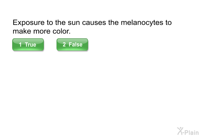 Exposure to the sun causes the melanocytes to make more color.