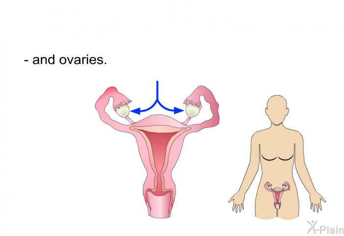 and ovaries.