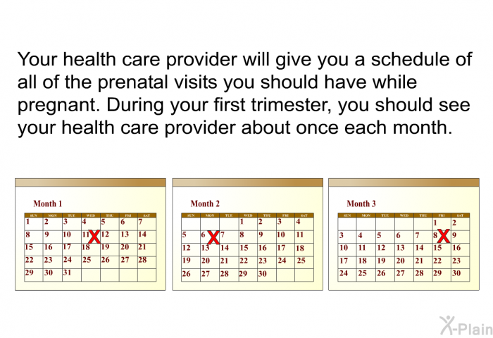 Your health care provider will give you a schedule of all of the prenatal visits you should have while pregnant. During your first trimester, you should see your health care provider about once each month.