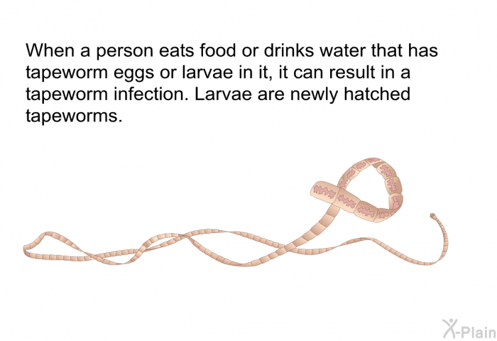 When a person eats food or drinks water that has tapeworm eggs or larvae in it, it can result in a tapeworm infection. Larvae are newly hatched tapeworms.