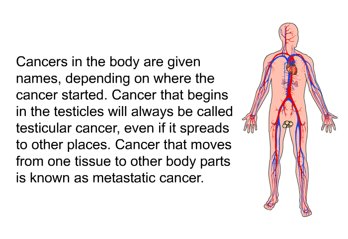 Cancers in the body are given names, depending on where the cancer started. Cancer that begins in the testicles will always be called testicular cancer, even if it spreads to other places. Cancer that moves from one tissue to other body parts is known as metastatic cancer.