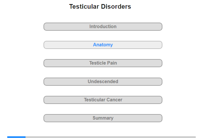 Anatomy of the Male Reproductive System