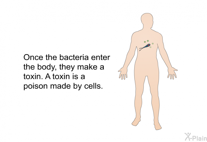Once the bacteria enter the body, they make a toxin. A toxin is a poison made by cells.